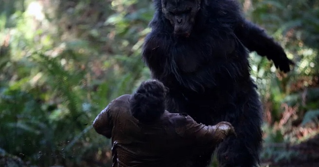The hartman family 1960s picture